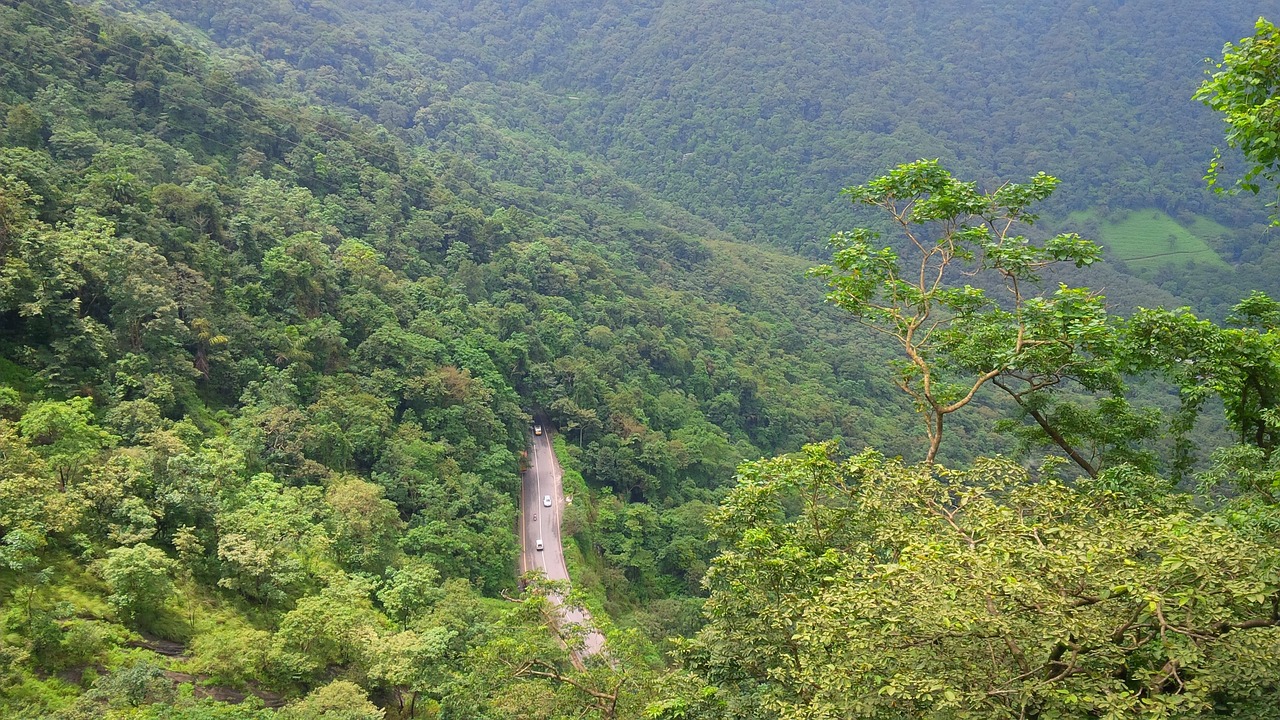 Wayanad in Kerala